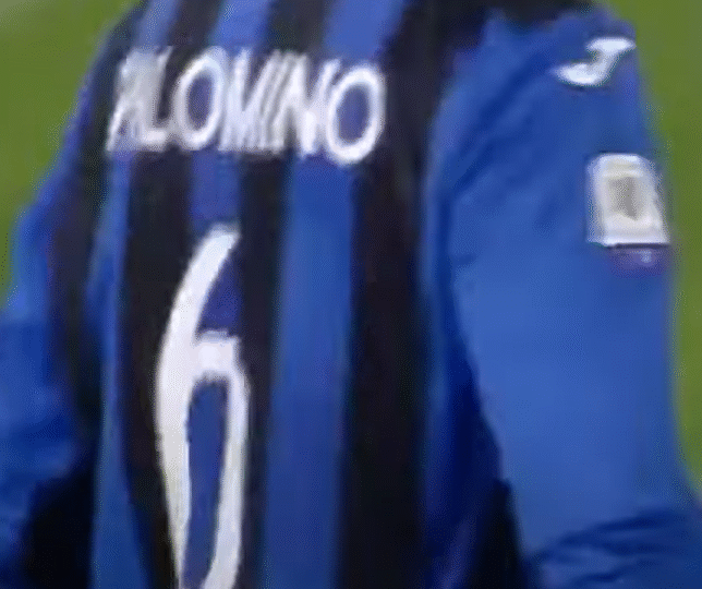 palomino
